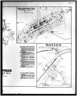 Owingsville - Precinct No. 3, Sharpsburg, Salt Lick - Right, Bath and Fleming Counties 1884
